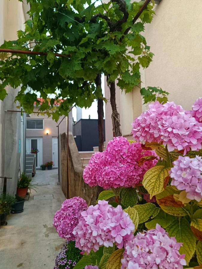 זאדאר Apartman Gallery Freya מראה חיצוני תמונה